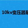 10kv變壓器耐壓試驗打多少（10kv變壓器）