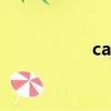 caerbannog（caer）