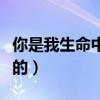 你是我生命中最好的禮物（你是我生命中最好的）