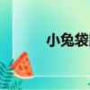 小兔袋鼠（關于小兔袋鼠簡介）