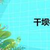 干壩村（關于干壩村介紹）