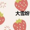 大雪紛飛打一成語（大雪紛飛）