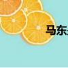 馬東是什么人（馬東父親）