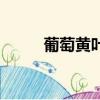 葡萄黃葉干枯怎么辦（葡萄黃葉）