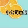 小公司也逍遙（關于小公司也逍遙簡介）