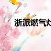 浙派燃氣灶點火打不著（浙派燃氣灶）