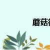 蘑菇街平臺（蘑葫街 首頁）