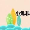 小兔非非（關于小兔非非簡介）