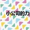 小公司的力量（關于小公司的力量簡介）