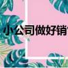 小公司做好銷售（關于小公司做好銷售簡介）
