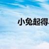 小兔起得早（關于小兔起得早簡介）