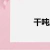 干噸度（關于干噸度介紹）