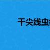 干尖線蟲病（關于干尖線蟲病介紹）