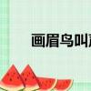 畫眉鳥叫聲最大（畫眉鳥叫聲mp3）