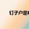 釘子戶是啥意思?（釘子戶什么意思）