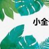 小全子（關于小全子簡介）