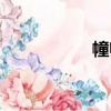 幢帥（關于幢帥介紹）
