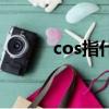 cos指什么（cos是什么比什么）