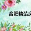 合肥精裝房驗房師（合肥精裝房驗房）