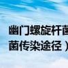 幽門螺旋桿菌是通過什么傳染的（幽門螺旋桿菌傳染途徑）