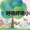 呼嚕呼嚕小精靈動畫片（小精靈動畫片）