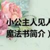 小公主人見人愛魔法書（關于小公主人見人愛魔法書簡介）