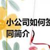 小公司如何簽定合同（關于小公司如何簽定合同簡介）