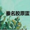 雅名膠原蛋白在哪里買（雅名膠原蛋白）