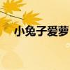 小兔子愛蘿卜（關于小兔子愛蘿卜簡介）