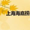 上海海底撈美甲恢復了嗎（上海海底撈）