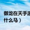 御龍在天手游霸刀騎什么馬（御龍在天霸刀騎什么馬）
