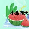 小全向天線（關于小全向天線簡介）