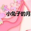 小兔子的月亮（關于小兔子的月亮簡介）