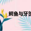 鱷魚與牙簽鳥演員表（鱷魚與牙簽鳥）