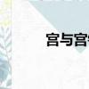 宮與宮鎖心玉（宮鎖心玉簡介）