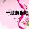干地黃當歸丸（關于干地黃當歸丸介紹）