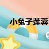 小兔子蓮蓉包（關于小兔子蓮蓉包簡介）