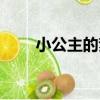 小公主的夢（關于小公主的夢簡介）