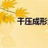 干壓成形法（關于干壓成形法介紹）