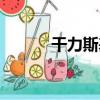 干力斯基（關于干力斯基介紹）