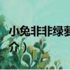 小兔非非綠蘿卜篇（關于小兔非非綠蘿卜篇簡介）