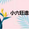 小六旺遺址（關于小六旺遺址簡介）