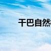 干巴自然村（關于干巴自然村介紹）