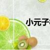 小元子村（關于小元子村簡介）