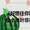 《好想住你隔壁》作者:葉非夜（好想住你隔壁小說葉非夜）