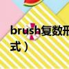 brush復數形式是什么樣的（brush的復數形式）