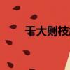 干大則枝斜（關于干大則枝斜介紹）