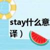 stay什么意思翻譯中文（stay是什么意思翻譯）