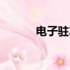 電子駐車是什么意思（電子驢）