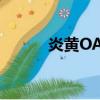 炎黃OA文檔 session（炎黃ol）
